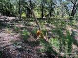 4195 Whippoorwill Dr - Photo 7