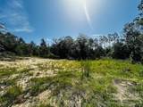 4195 Whippoorwill Dr - Photo 8
