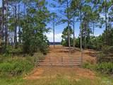 973 Dolphin Rd - Photo 8
