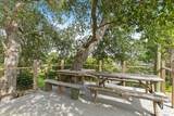 13129 Seratine Dr - Photo 32