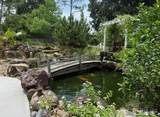 13129 Seratine Dr - Photo 36