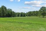 6885 Dora Lee Killam Rd - Photo 38