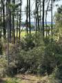 2633 Bayshore Pkwy - Photo 38