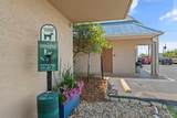 13817 Perdido Key Dr - Photo 22