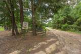 1700 County Highway 185 - Photo 50