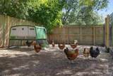 8064 San Pedro Plaza - Photo 59