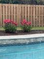980 Grand Canal St - Photo 3