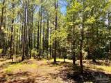 Lot 15 Naturewalk Dr - Photo 21