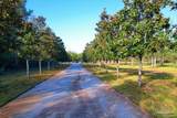 3144 Hwy 182 - Photo 40