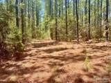 Lot 5-RS Hwy 182 - Photo 10