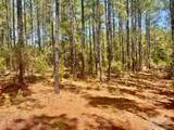 Lot 5-RS Hwy 182 - Photo 12