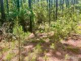 Lot 5-RS Hwy 182 - Photo 16