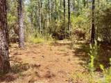 Lot 5-RS Hwy 182 - Photo 17