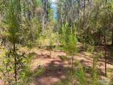 Lot 5-RS Hwy 182 - Photo 18