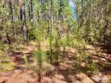 Lot 5-RS Hwy 182 - Photo 19