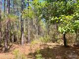 Lot 5-RS Hwy 182 - Photo 3