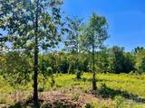 Lot 2-C Cotton Lake Rd - Photo 10