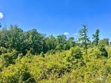 Lot 2-C Cotton Lake Rd - Photo 12