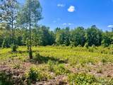 Lot 2-C Cotton Lake Rd - Photo 3