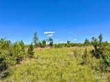 Lot 2-C Cotton Lake Rd - Photo 6