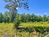 Lot 2-C Cotton Lake Rd - Photo 7