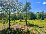 Lot 2-C Cotton Lake Rd - Photo 8