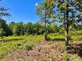 Lot 2-C Cotton Lake Rd - Photo 9