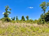 Lot 7-C Cotton Lake Rd - Photo 1