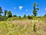 Lot 7-C Cotton Lake Rd - Photo 10