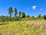 Lot 7-C Cotton Lake Rd - Photo 11