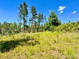 Lot 7-C Cotton Lake Rd - Photo 12