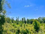 Lot 7-C Cotton Lake Rd - Photo 6