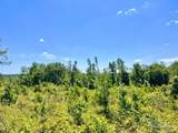 Lot 7-C Cotton Lake Rd - Photo 7