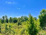 Lot 7-C Cotton Lake Rd - Photo 8