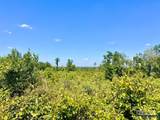 Lot 11-C Cotton Lake Rd - Photo 5