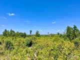 Lot 11-C Cotton Lake Rd - Photo 7
