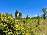 Lot 11-C Cotton Lake Rd - Photo 9