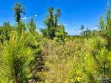 Lot 12-C Cotton Lake Rd - Photo 2