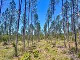 Lot 15-C Hwy 29 - Photo 11