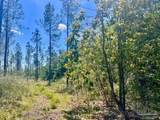 Lot 15-C Hwy 29 - Photo 16