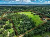 3501 Oak Tree Ln - Photo 1
