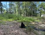 3109 Schifko Rd - Photo 1