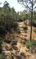  Robinson Point Rd - Photo 6