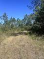  Robinson Point Rd - Photo 8