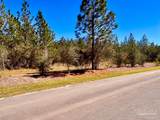 Lot 33 Pine Preserve Ln - Photo 10