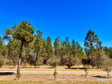 Lot 33 Pine Preserve Ln - Photo 11