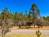 Lot 33 Pine Preserve Ln - Photo 14