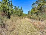 Lot 33 Pine Preserve Ln - Photo 18