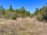 Lot 33 Pine Preserve Ln - Photo 19