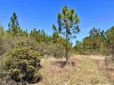 Lot 33 Pine Preserve Ln - Photo 20